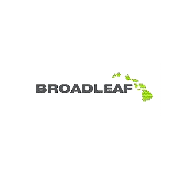 Broadleaf