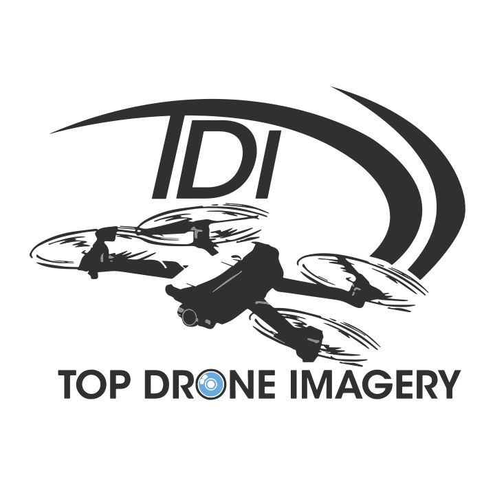 TDI Logo Design